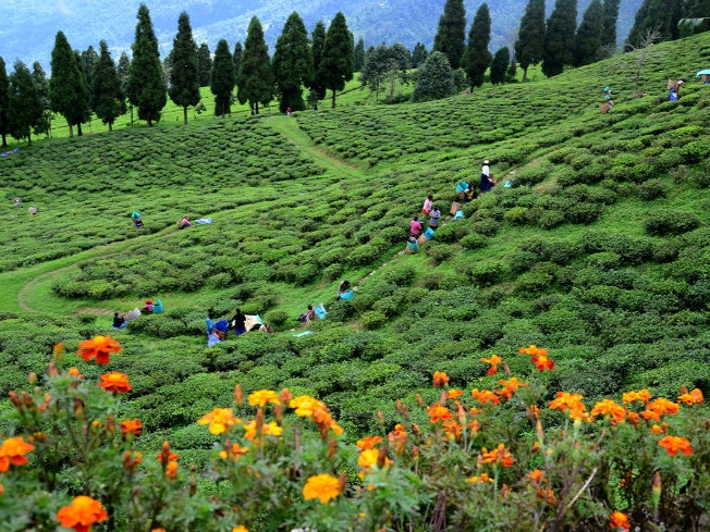 Gangtok- Pelling-Darjeeling Tour - Travel Nivriti Kerala's Best Tour Operator_Kerala Tourism Packages (3)