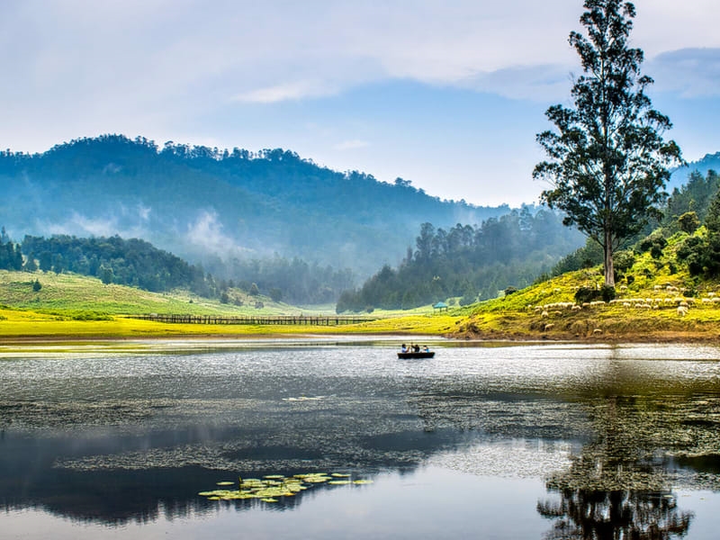 Kodaikanal-Ooty Package Tour 04 Night - Travel Nivriti Kerala's Best Tour Operator_Kerala Tourism P ( (5)